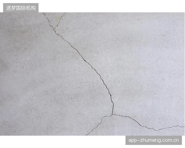 数据显示，采用新型抗收缩剂的体育馆地面，5年内的微裂缝率低于0.01%